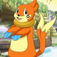 Buizel