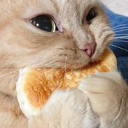 Двое против всех.