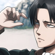 Levi