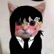 MerroyDog