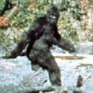 Wildman