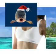 Fish on tits