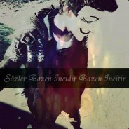 tekin.umut1905