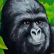 Biggorilla