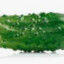 cucumber #SYNDICATE-avatar