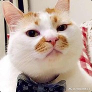 S403