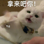 一曲长歌浅