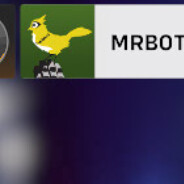 mr.bot