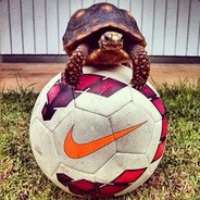 HunterTurtle