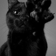 Ilusha<3