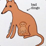 The-Dingo's avatar