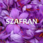 Szafran