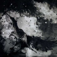 Grey Raven