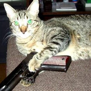 Steam Community Avatar