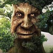 exhaustedBTW