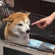 请让我明天八点起