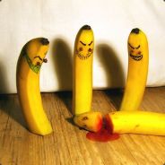 Wild Banana