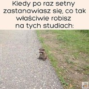 walerek