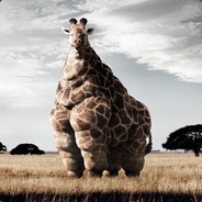 Look at diz, a fat giraffe