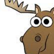 BigMoose