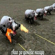 Матье Бал