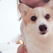 子非喻