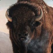 Colorado - steam id 76561197960552080