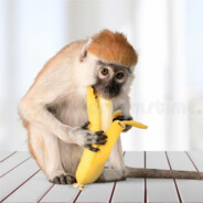 l0l