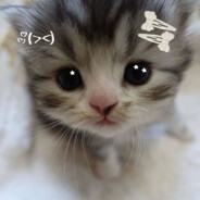iariꔫ