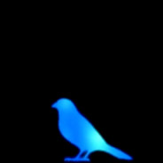 DarkB