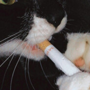 you wanna come out here