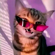 Sexy cat