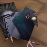 Pidgeon