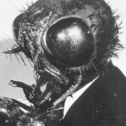 RETURN OF THE FLY!