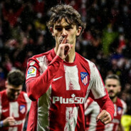 Cenk #43