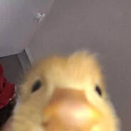 Marvello
