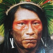 Boi Xavante