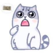 usfhser3947378728urir