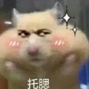 耀星