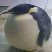 Daphy