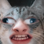 ava