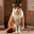 Group Avatar