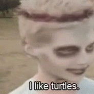i like turtles