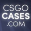 qMadalinQ csgocases.com