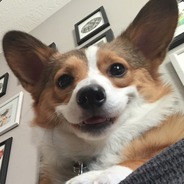 SmashGizmo