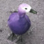 PurpleDuck_exe