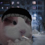 люблю в попку