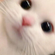 sashimifue