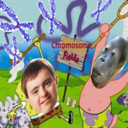 Chromosomsammler24