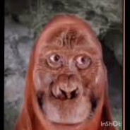MONKE PEEK-JMCFIELDS